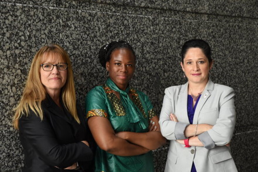 Panel Members: State Senator Melinda Bush, State Representative Carol Ammons, Illinois Comptroller Susana A. Mendoza