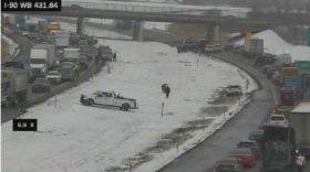 A screenshot shows cows in the median of I-90 between delayed traffic on both eastbound and southbound lanes.