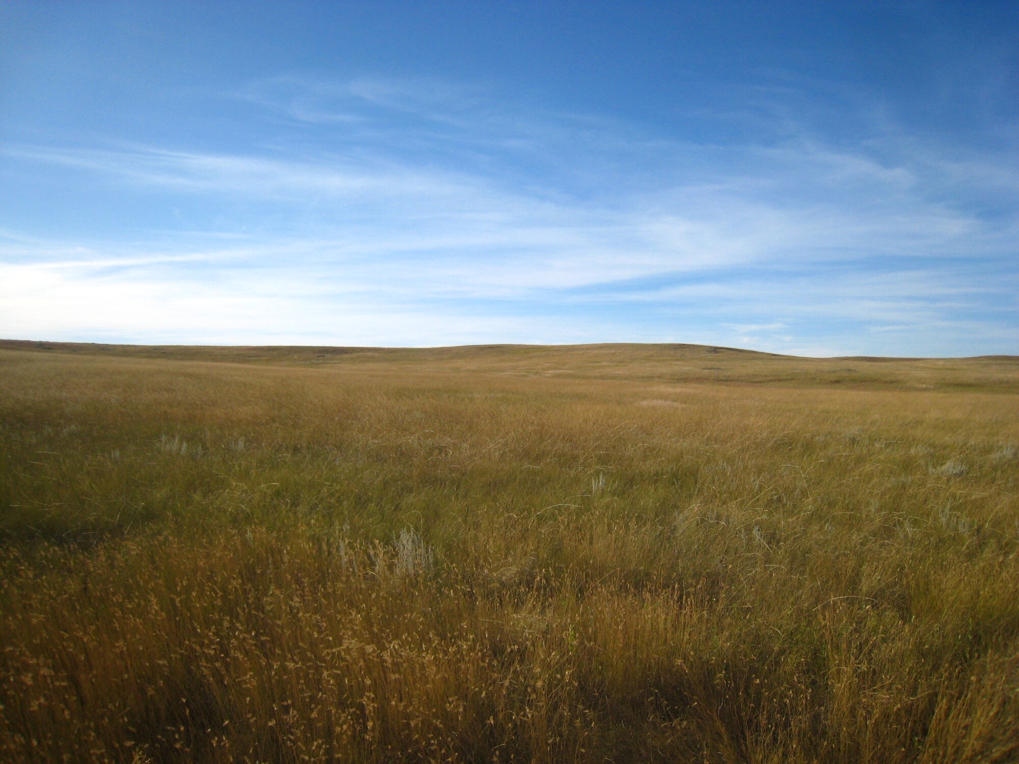 Play Why fire is essential to North Dakota’s native prairie