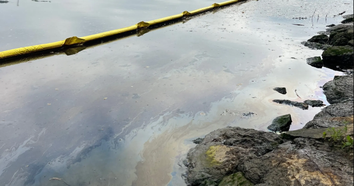 Pittsburgh: $3.3M settlement for Allegheny River oil pollution | 90.5 WESA