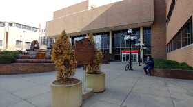 The Vine Street entrance of the Main Library has big changes coming under the system's master plan.