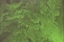 A aerial shot taken by Calusa Waterkeeper volunteer pilot Ralph Arwood shows a bright-green swirl of blue-green algae on the surface of Lake Okeechobee just days ago