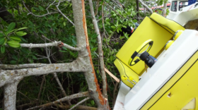 A Key Largo man died on May 16 after his boat crashed into some mangroves. (via FWC)