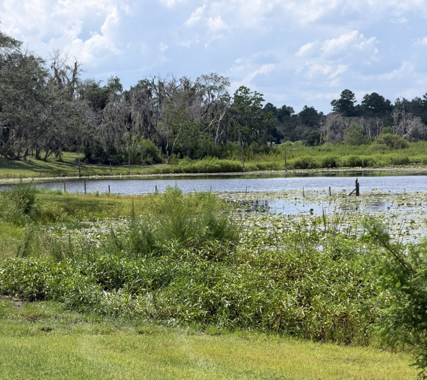 Water levels in so-called “Miller Lake” remain high enough to partially submerge the Kremers’ fence posts on Aug. 21, 2026.