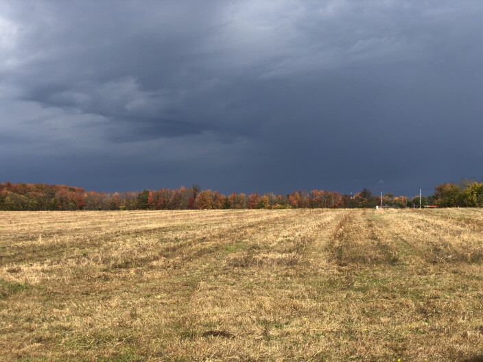 Nimbostratus Clouds Explained as Source of Louisville’s Gloomy Weather