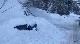 Those are - were? - trash cans in Pinebrook.