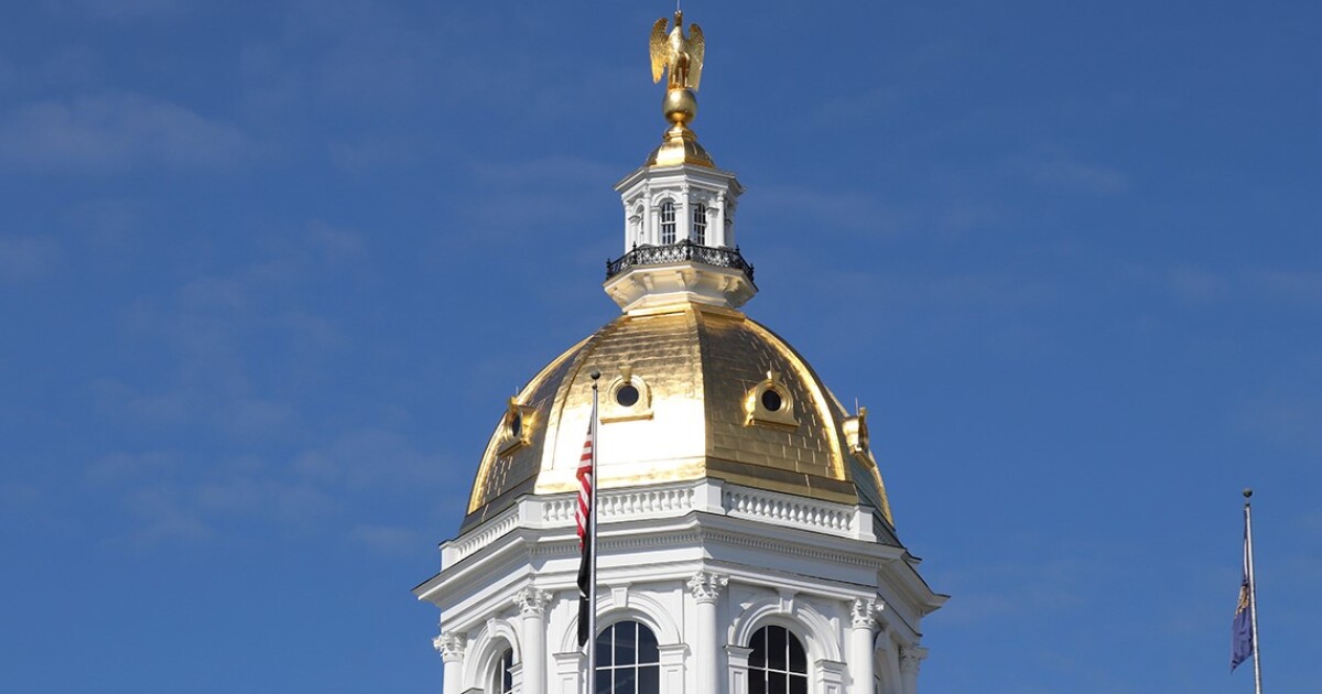 Ayotte's COGE committee issues government efficiency recommendations