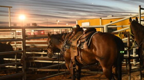 The Otero County Fair brought a capacity crowd to the rodeo over the weekend.