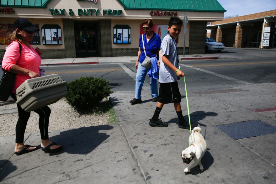 Liliana Figueroa and her son Alexander, 12, walk their pug, Michelle, back across the border. Michelle was in Mexico for a visit to the vet — for some stitches to mend her torn lip.
