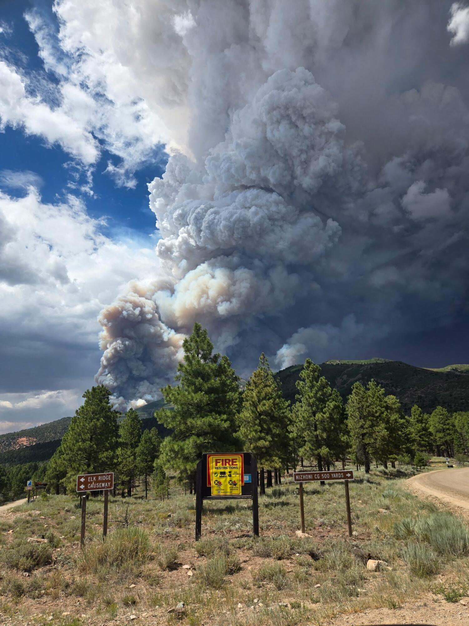 Babylon Fire crews focus on Indian Creek and Twin Peaks area after active overnight burning episode artwork