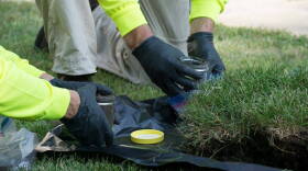 Workers collect soil samples from a yard.