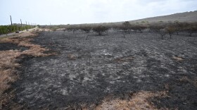 Pictured: A brush fire caused land to be burned alongside St. Croix’s South Shore Road.