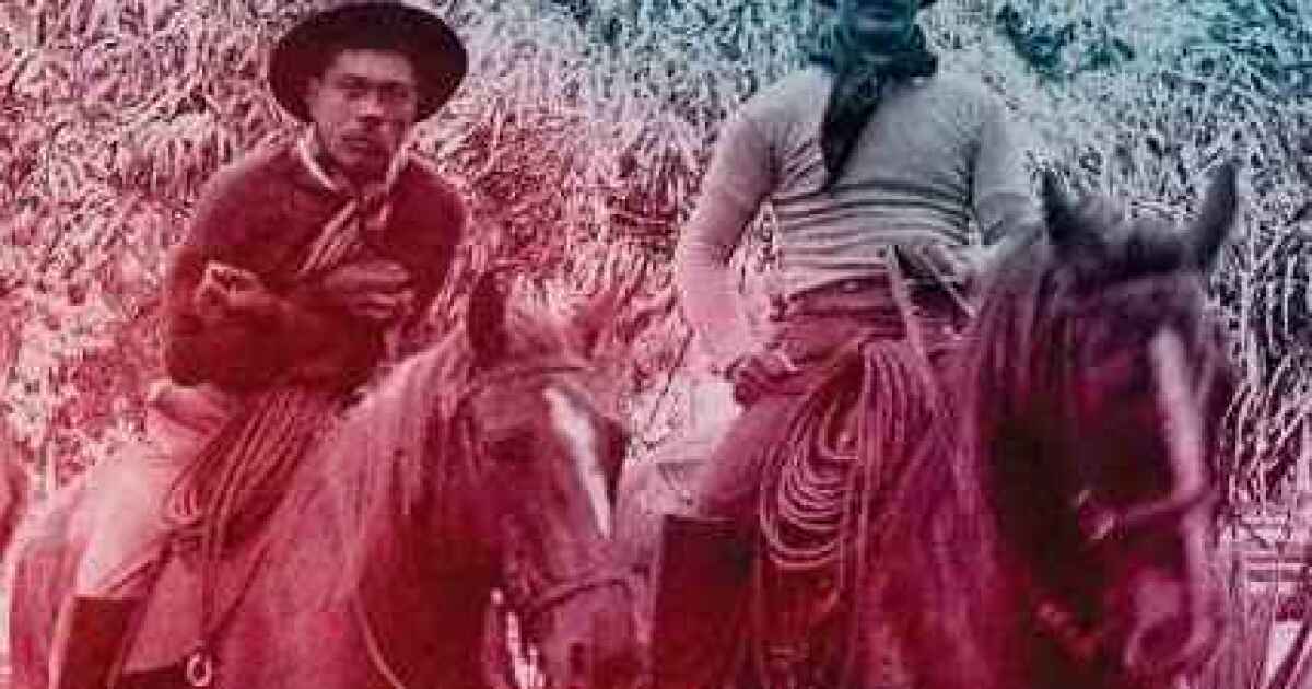 BOOK REVIEW: ‘Aloha Rodeo’ Offers Alternative To The Cowboy Cliché