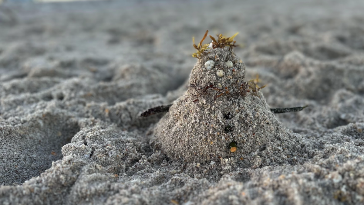 Another cold front pushes through Florida; how long will the cool last?