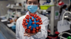 In this picture taken on April 29, 2020, an engineer shows a plastic model of the COVID-19 coronavirus at the Quality Control Laboratory at the Sinovac Biotech facilities in Beijing.(NICOLAS ASFOURI/AFP via Getty Images)