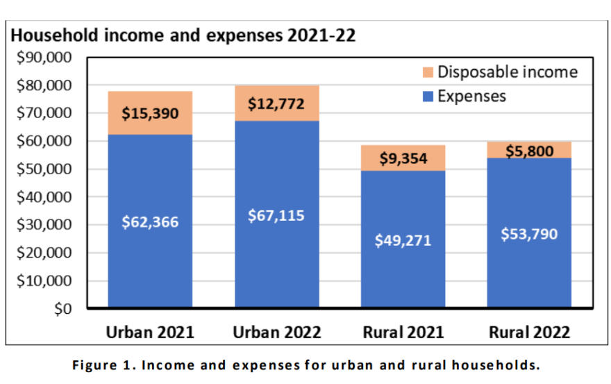 A graph shows rural areas have a smaller disposable income than urban communities