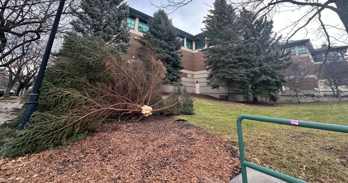 Montana storm updates