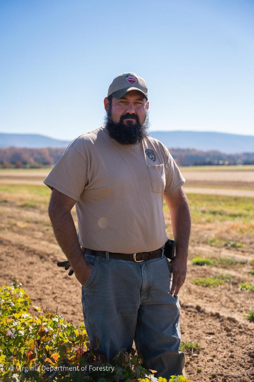 Joshua McLaughlin oversees cultivation of millions of seedlings each year at the Virginia Department of Forestry's Augusta Nursery.