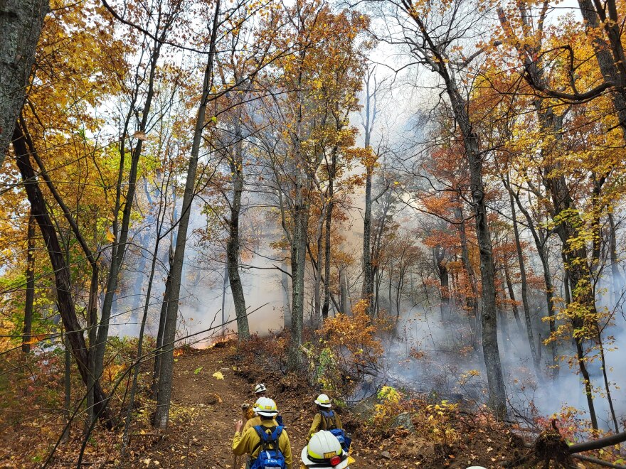 The swath of bare earth that fire crews cleared through the forest is the perimeter containing the wildfire.