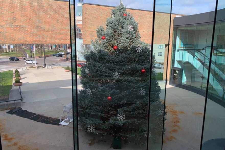 City Hall Christmas tree