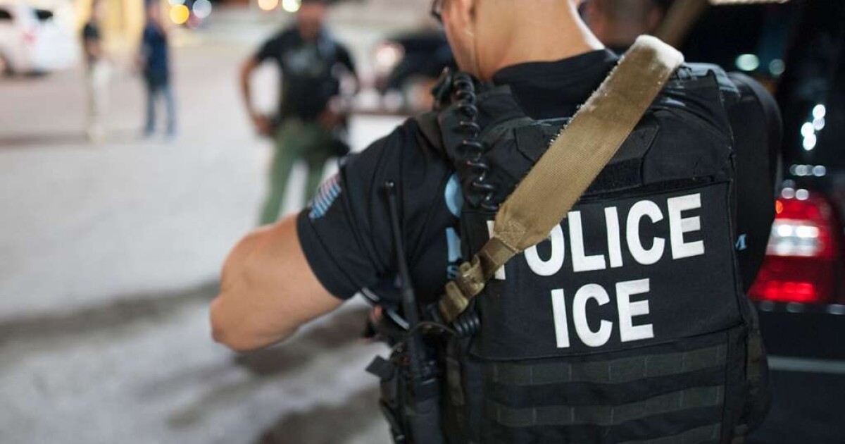 The devastating human toll of Trump's immigration crackdown