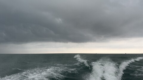 Lake Erie in July 2025