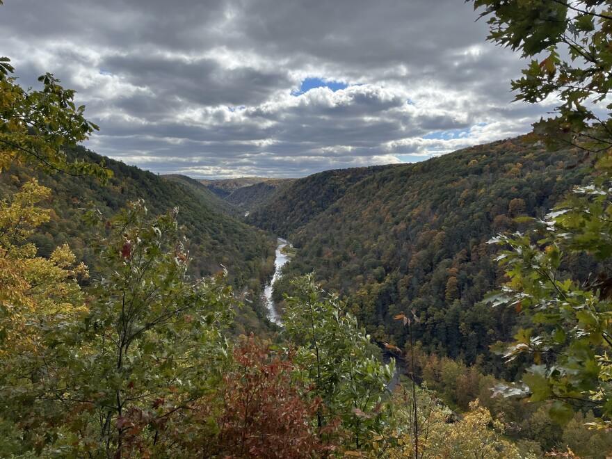 The Pine Creek Gorge in Tioga County.