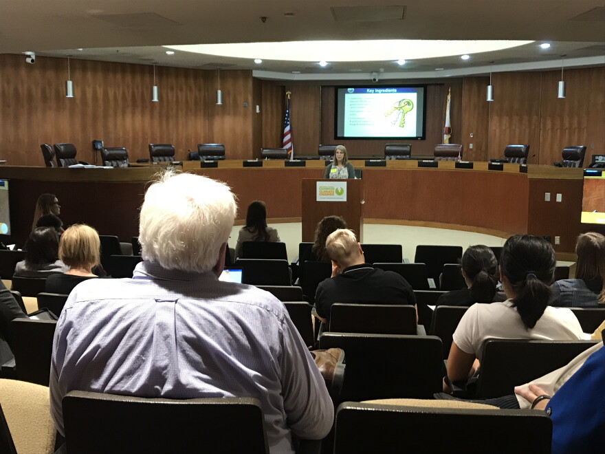 Whitney Gray of the state's Florida Resilient Coastlines Program spoke to local officials at the workshop on pre-planning for disaster recovery.