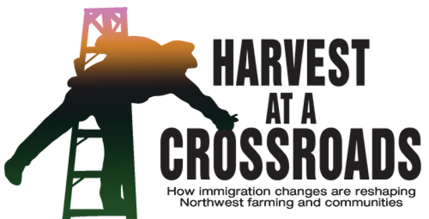 Harvest at a Crossroads - How immigration changes are reshaping Northwest farming and communities