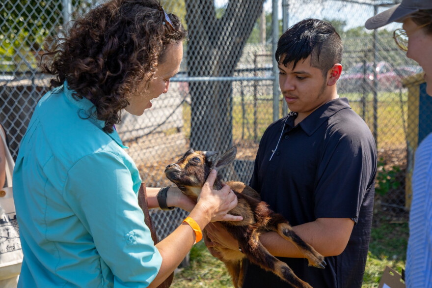 At East High School in Kansas City, students in the agriculture program help care for urban farms and herds of goats, chickens, turkeys and more.