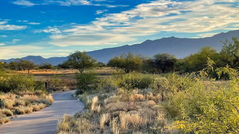 vistoso pond 