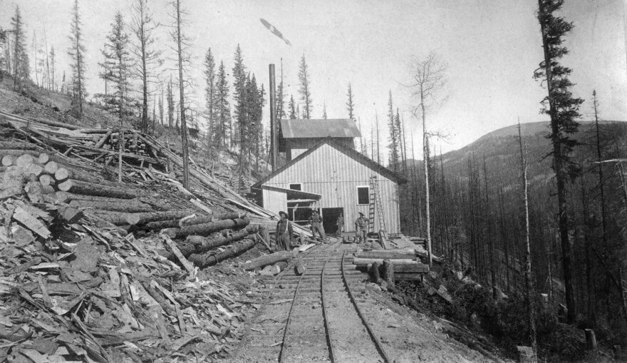 Miners pose near the shaft house and tramway of a mine in Colorado with piles of timber are nearby. In the late 1800s, there was growing concern about protecting American forests, decades after the Gold Rush.