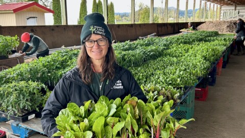 A woman holds a flat of chard, and stands in front of a long row of plant starts