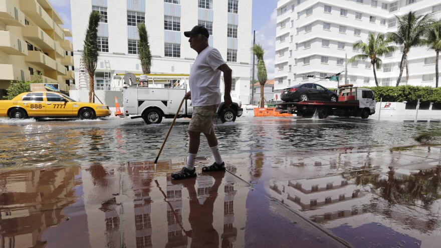 Louis Fernandez walks along a flooded Collins Avenue in Miami Beach in September 2015. The city is tackling sea-level rise by rebuilding roads and installing new storm sewers and pumps.