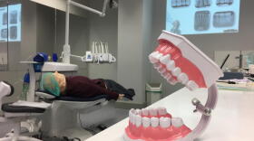 A picture taken on September 25, 2018 shows a denture and a hyper realistic mannequin during a training session for students of the faculty of dental surgery in Strasbourg. (Marc Antoine Baudoux/AFP via Getty Images)