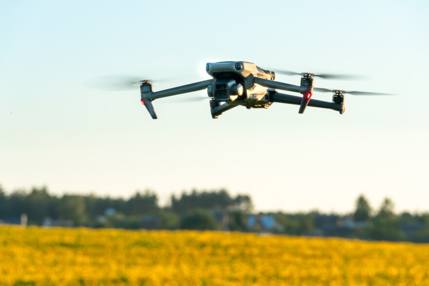 A modern quadcopter drone flies over a field of sunflowers against the sunset. 