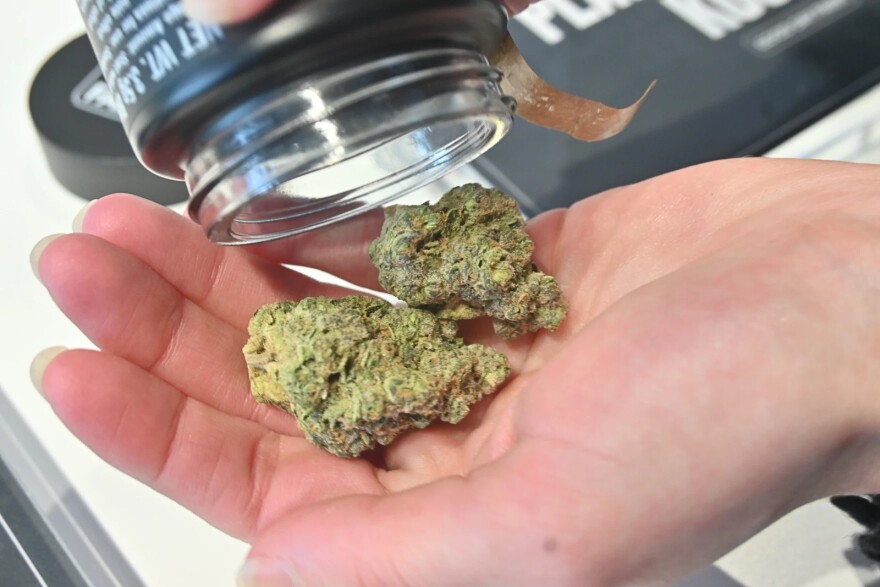 Medical marijuana held in a person's hand