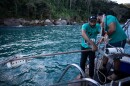 Scientific coordinator Leonardo Mitrano Neves, left, and field and logistics coordinator Daniel Shimada Brotto retrieve a Baited Remote Underwater Video System during monitoring as part of a shark project in Ilha Grande Bay, Angra dos Reis, Rio de Janeiro state, Brazil, July 14, 2026.