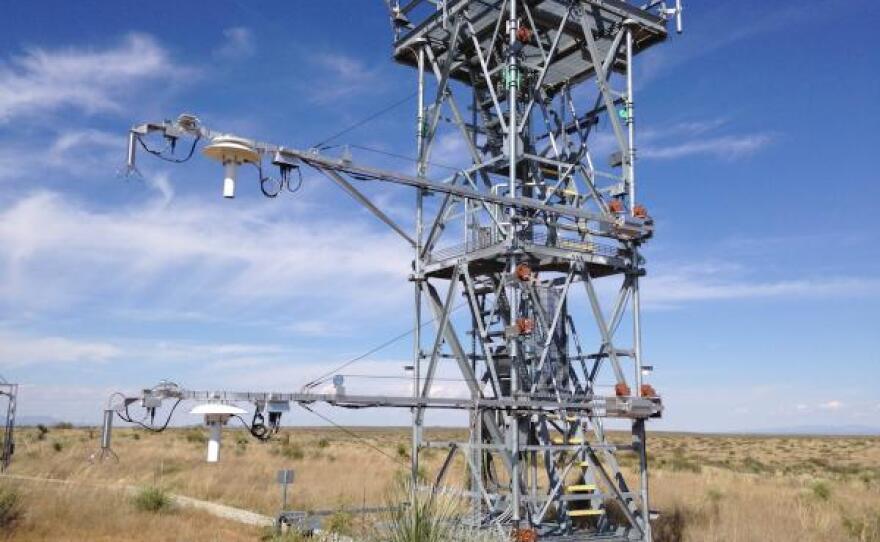 Example of a NEON site tower constructed for data collection 