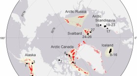 Arctic glaciers and ice caps (red), including ice caps in Greenland that are separate from the ice sheet.