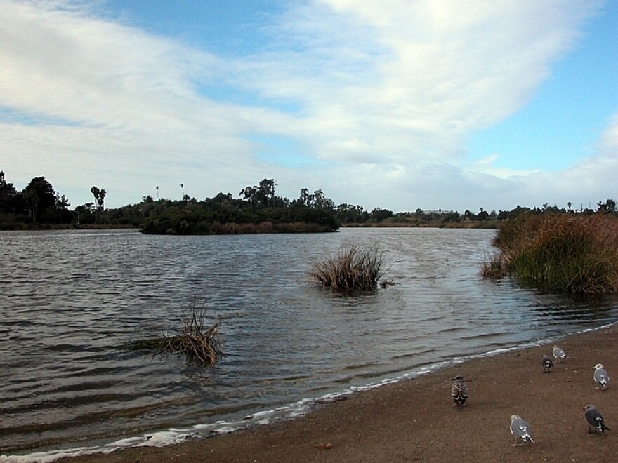 The Santa Barbara Bird Sanctuary inspired one of character Kinsey Millhone's favorite places to go jogging.