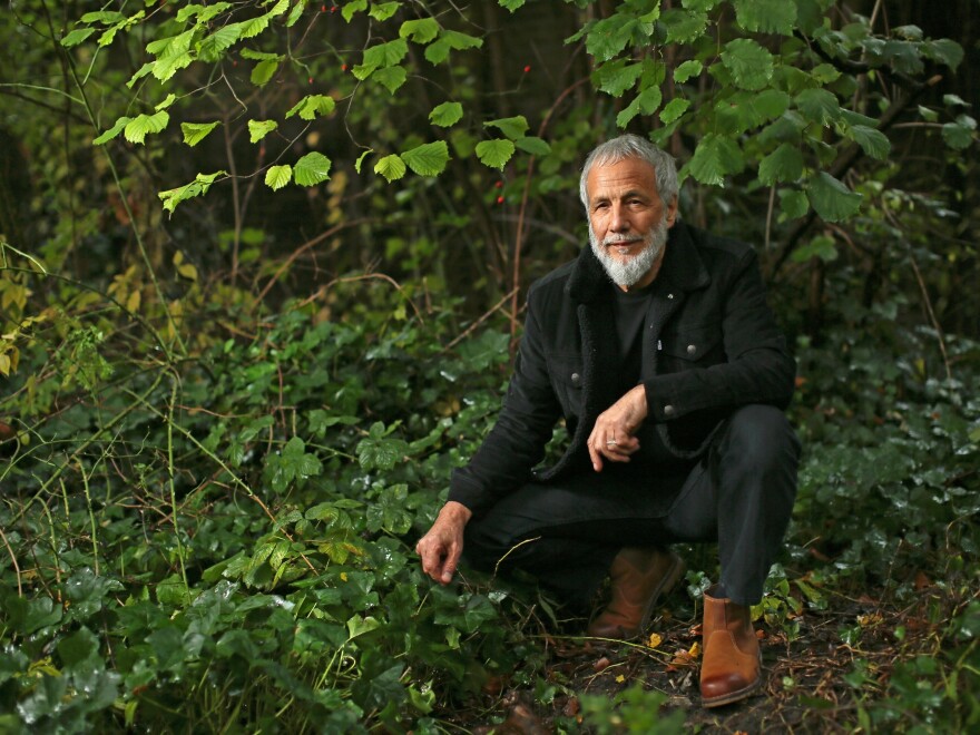 Yusuf's <em>Tea for the Tillerman 2</em> is a reimagining of his 1970 album as Cat Stevens.