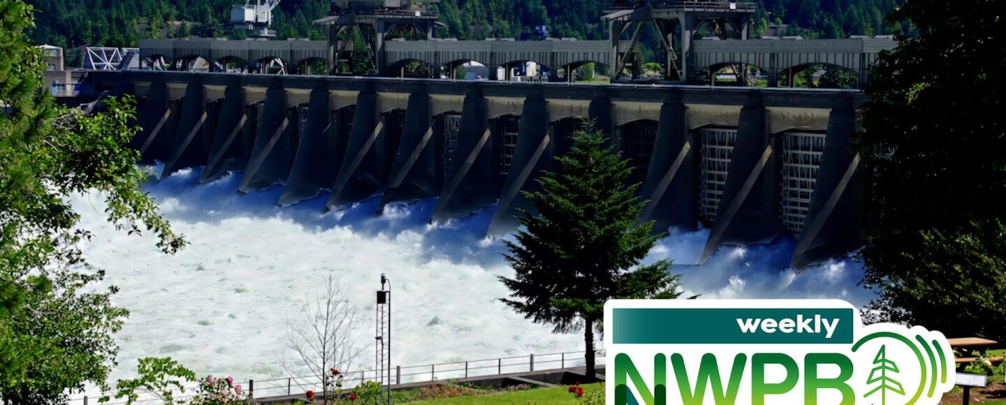 Idaho Elections, Columbia River Treaty Updates & A New Sea Lion Pup ...