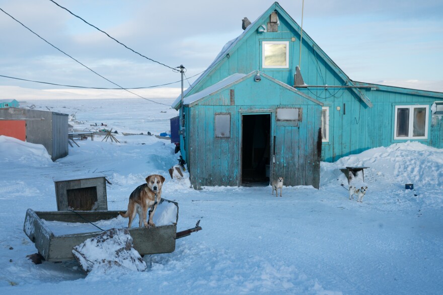 Older residents still remember when they moved their homes, pulled by dog sled, from neighboring Nightmute, Alaska, to make what was once a fishing camp into a permanent settlement. Now dogs abound, but the moving of goods is mainly done with snow machines and all-terrain vehicles<em>.</em>