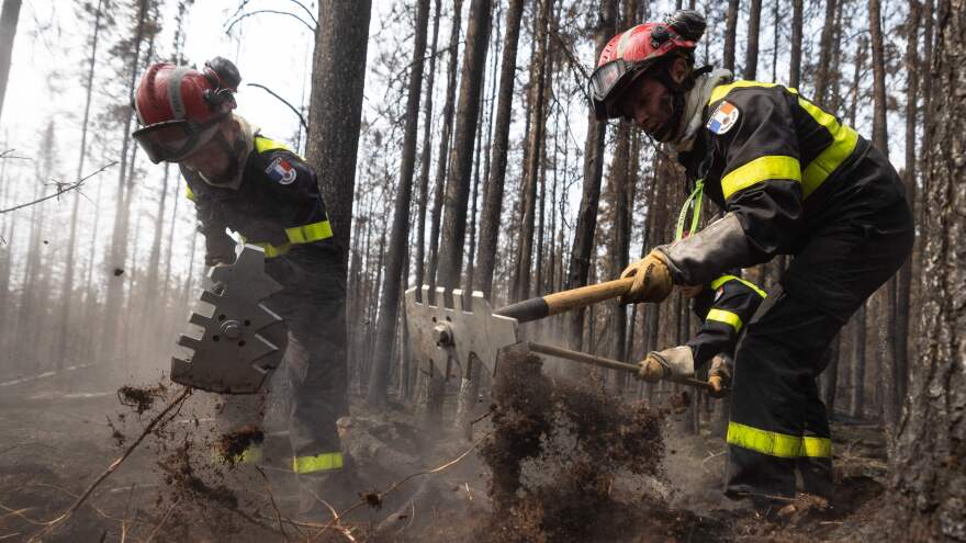 French firefighters work among trees north of the city of Chibougamau in Quebec in early June. France, the U.S., Mexico and other countries have sent firefighters to Canada to help battle unprecedented wildfires.