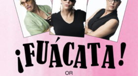 Cuban-American actress Elena MarÃ­a GarcÃ­a plays 24 different Latinas in the solo show.