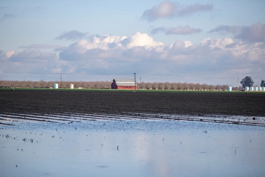 A patch of farmland flooded after a series of storms near the town of Planada on Jan. 17, 2023.