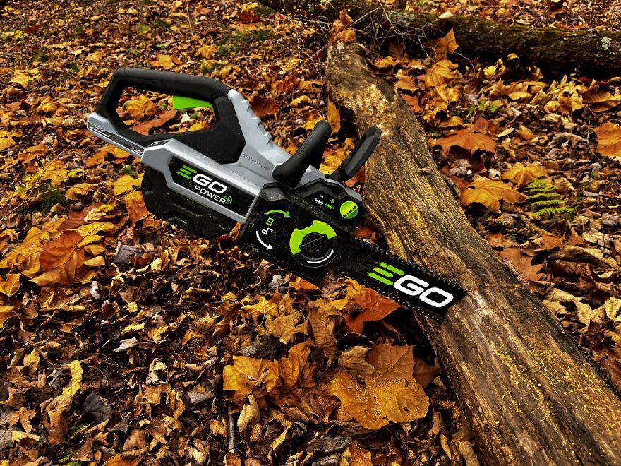 The columnist's electric chainsaw bisects a fallen tree