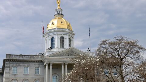 The New Hampshire State House and a tree