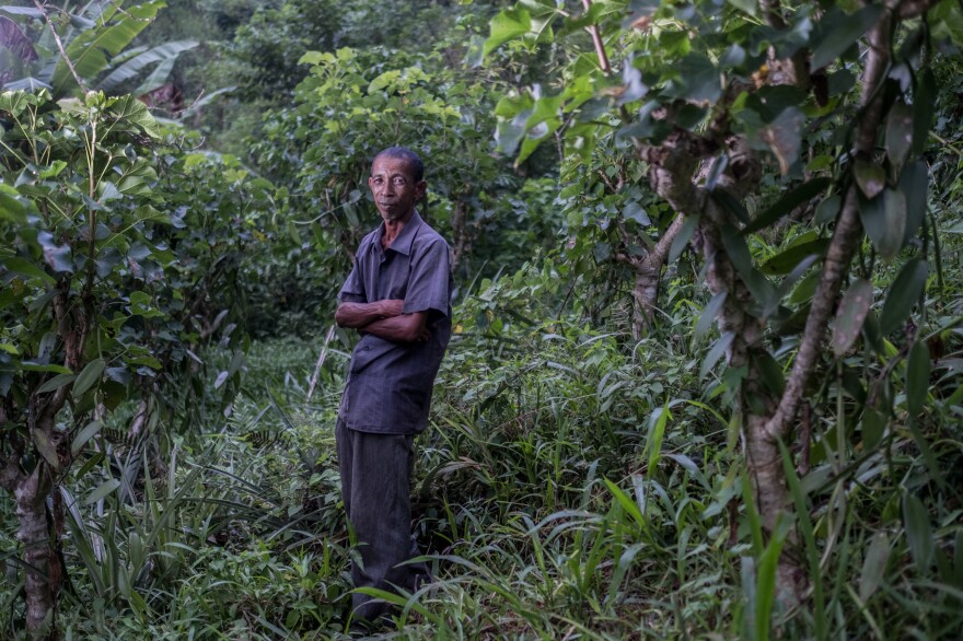 Zaratombo, a vanilla farmer and member of a local collective that sells to Virginia Dare, photographed in his field outside the village of Belambo, Madagascar.